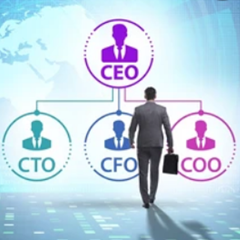Financial Consultancy & Advisory icon